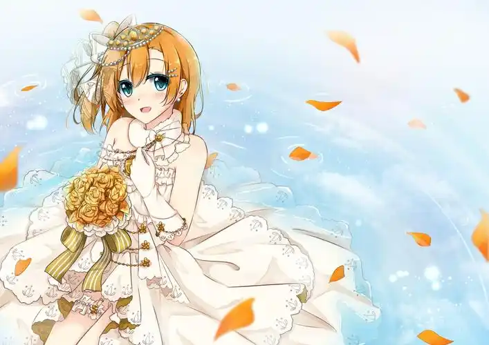 二次元动漫壁纸,第一期(婚纱)