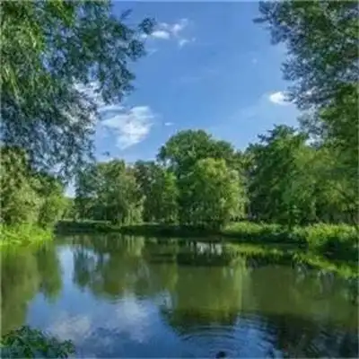 最新旺财最好看的青山绿水风景头像 发财山水风景微信头像2022_风景