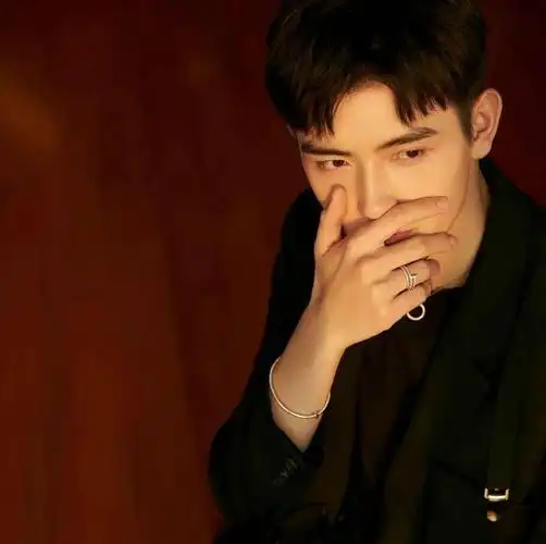 微信头像陈飞宇