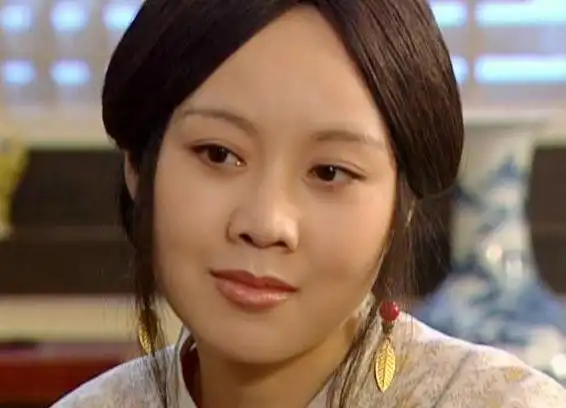 才能有今天|闫妮|北风那个吹|张嘉译|电视剧_网易订阅