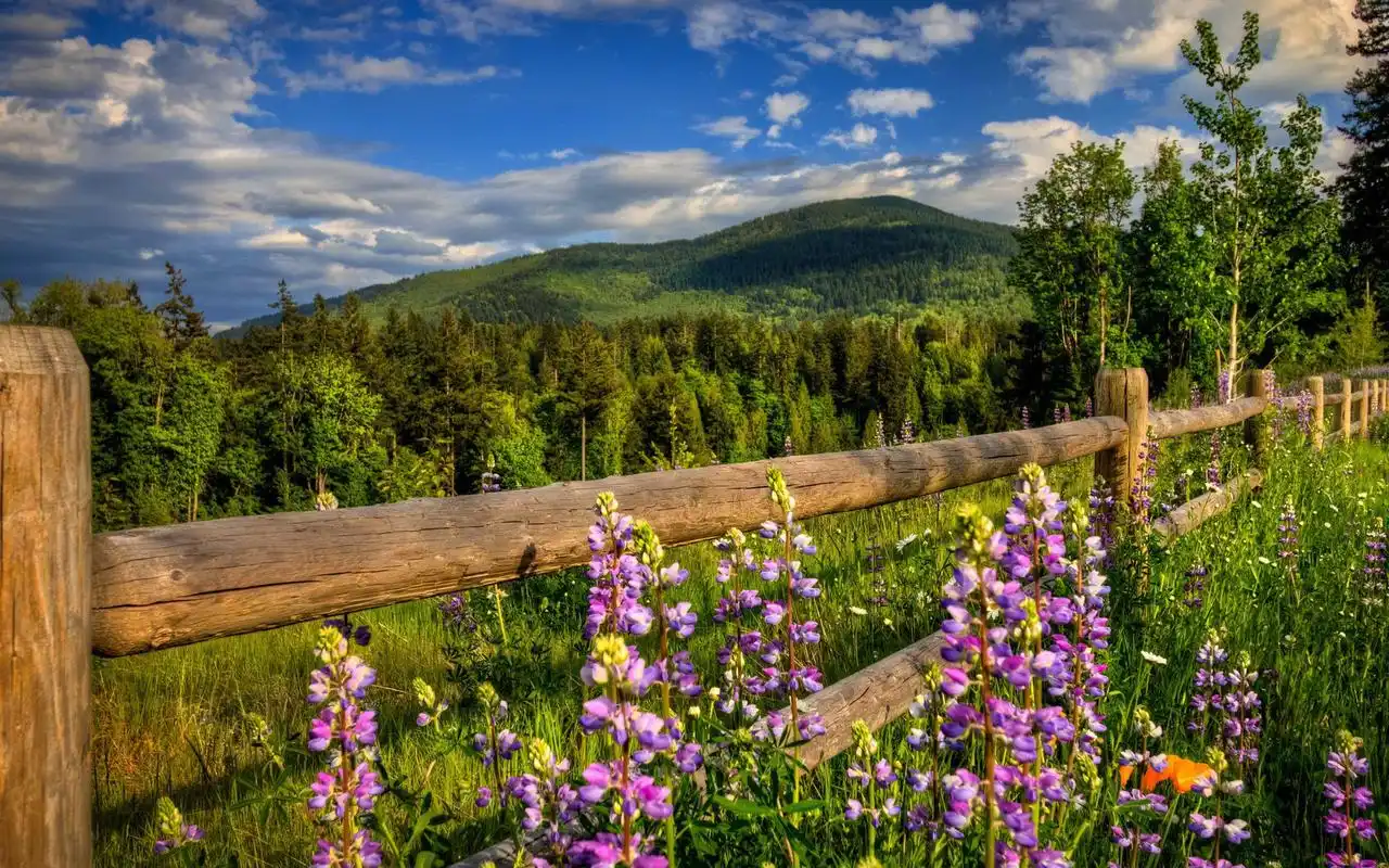 篱笆上的美景高清风景桌面壁纸