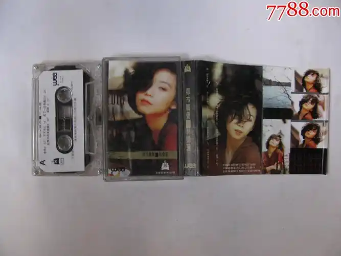 林忆莲都市触觉