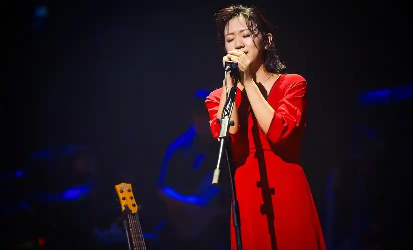 谢春花"花开时"北京演唱会 (3).jpg