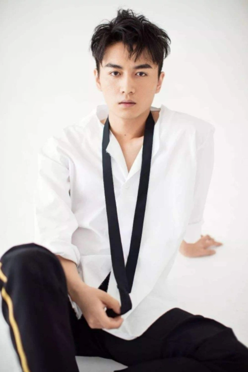 当年的陈晓一直给人一种阳光大男孩的既视感,五官精致帅气,浓眉大眼