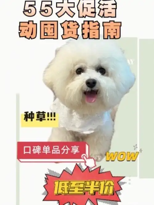 太贵时98快码住5661556615大促活动 我家宠物好可爱 狗狗