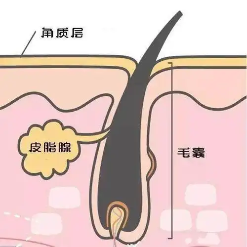 【毛孔粗大有粉刺】毛孔粗大有粉刺怎么办 黑头怎么去除最有效 - 科妆