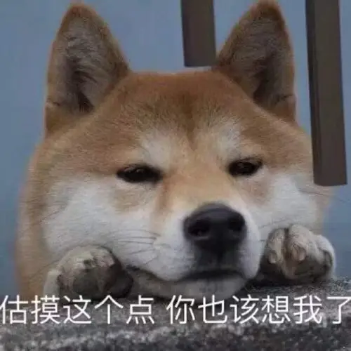 手机壁纸情侣头像表情包沙雕头像赞评论更多