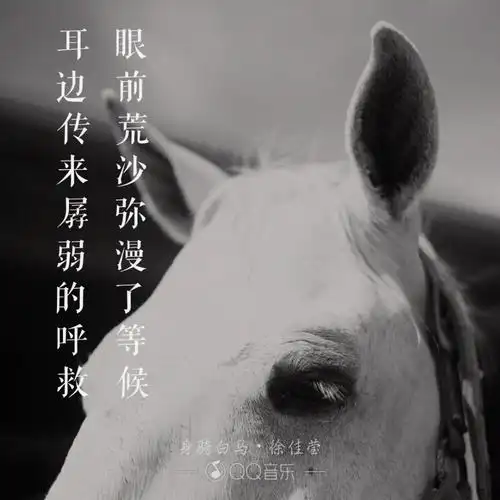 我身骑白马走三关我改换素衣回中原身骑白马