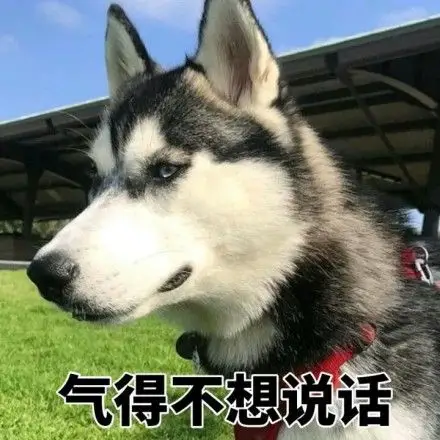 气的不想说话 - 二哈哈士奇系列_二哈_哈士奇表情
