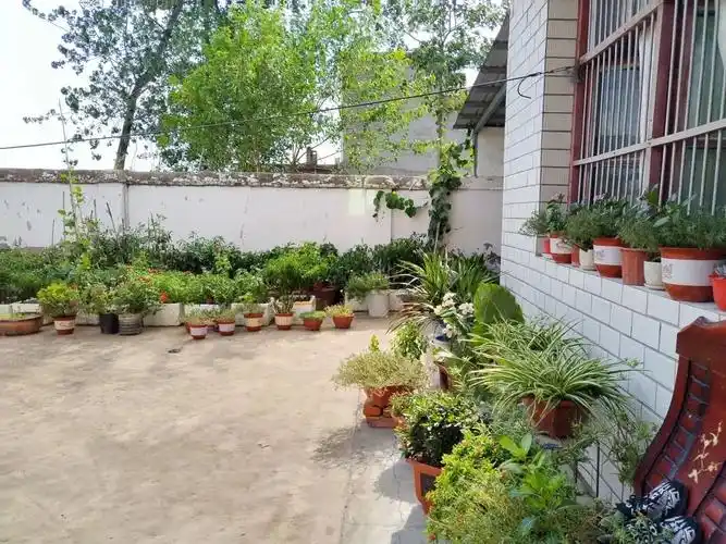 【美丽庭院"扮靓"美丽乡村】颍东区"美丽庭院"示范户风采秀——正午镇