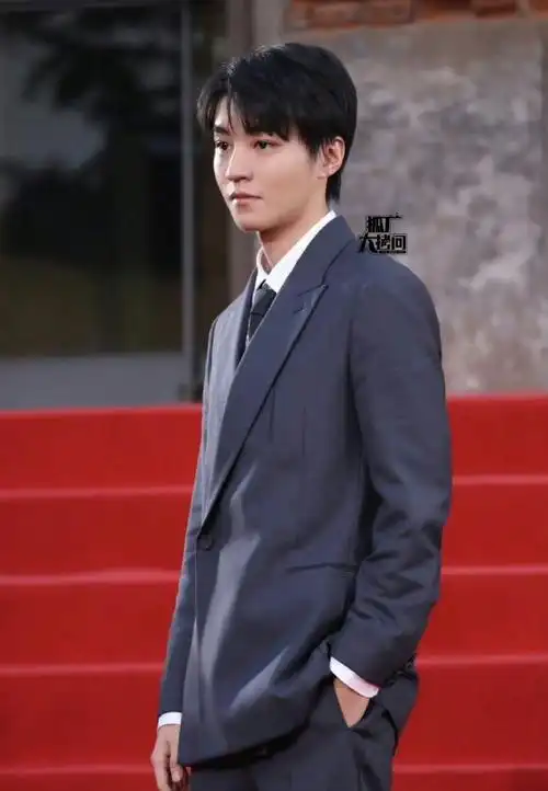 被王俊凯冷脸帅到##王俊凯的冷脸##王俊凯红毯全身镜头