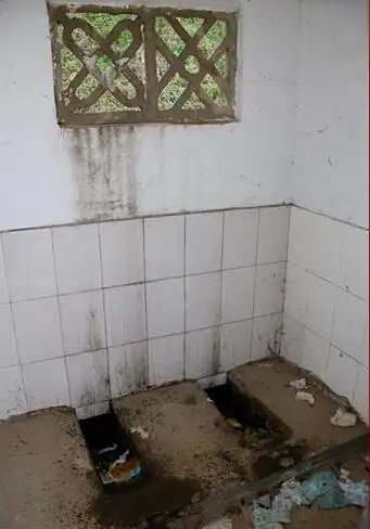 就在今天,全球华人世界里大约有 5万人 跟你一样也梦见打扫狗屎如果