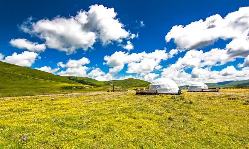 阿坝州的旅游打卡地中,九曲黄河第一湾,月亮湾,俄么塘花海都是网红级