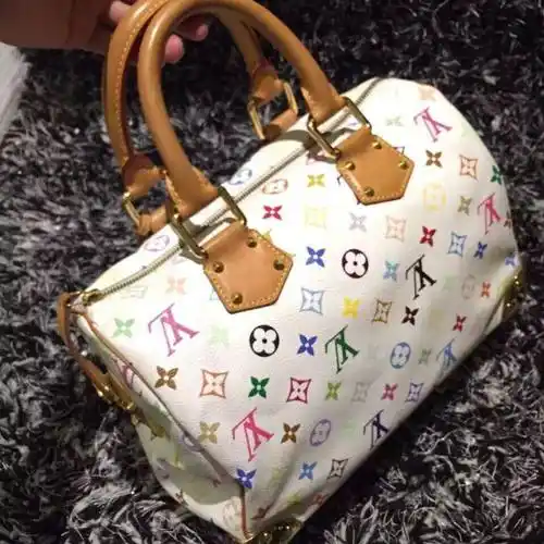 lv路易·威登白三彩手提包
