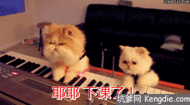 耶耶下课了猫咪gif动态图片 - 坑爹网