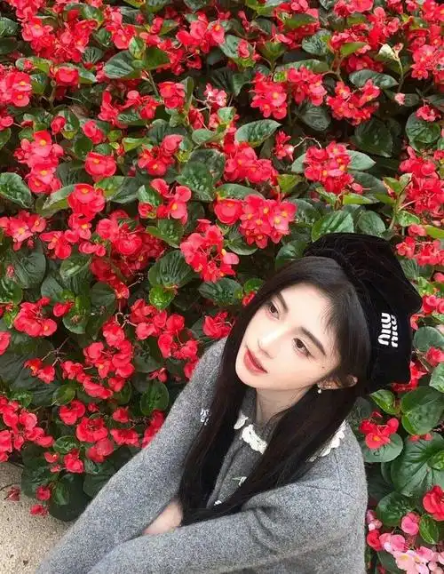 240219鞠婧祎如玫瑰般绽放粉丝热情赞美不断