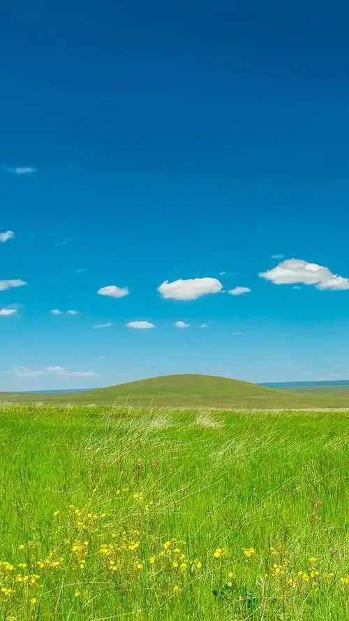 超清1080p美图壁纸ios android