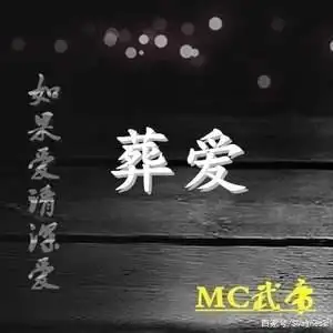 矫情装x运用到了极致,不管是杀马特的"如果爱请深爱",还是亚逼的"像