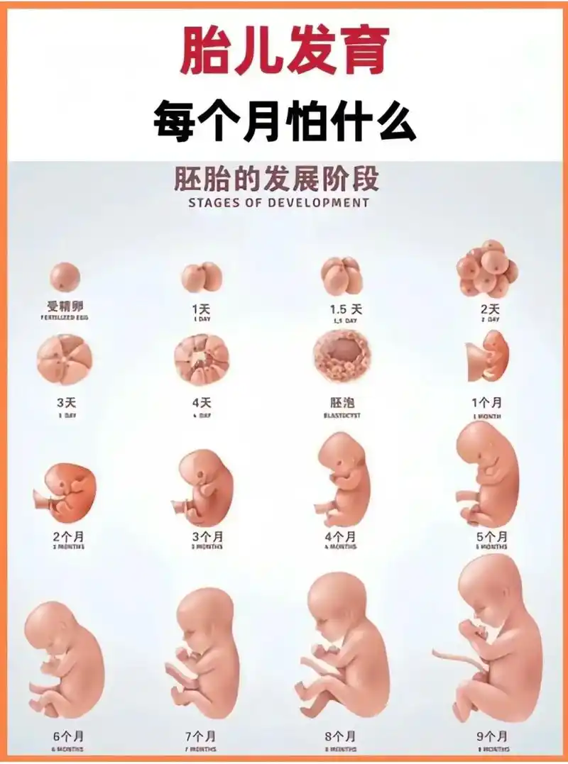 孕必知,不要害了肚子的胎宝宝!怀胎十月并不轻松,稍有大意就容 - 抖音