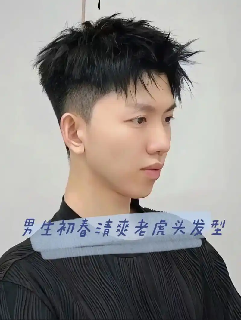 男生初春清爽老虎头发型