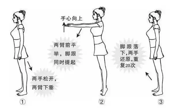 男人补肾强精,女人减肥瘦腿!