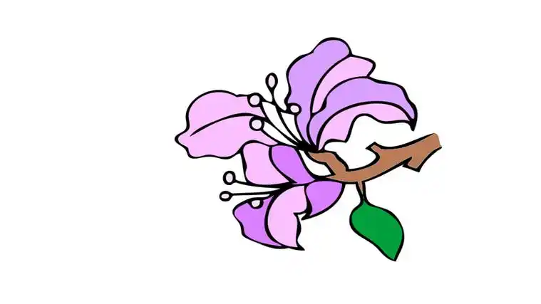 紫荆花树杆简笔画 简笔画图片大全-蒲城教育文学网