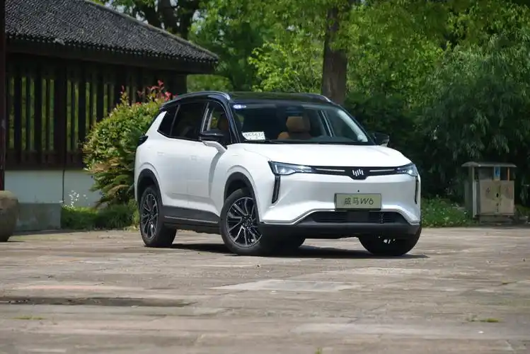 威马w6试驾_网易汽车