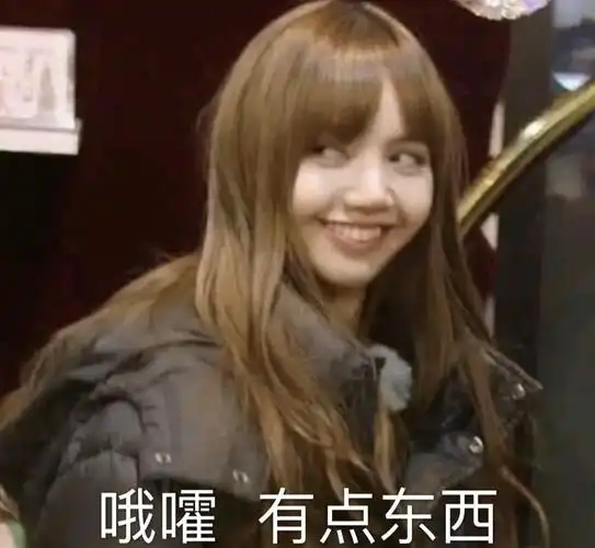 你skr什么东西鸭qq表情包斗图表情