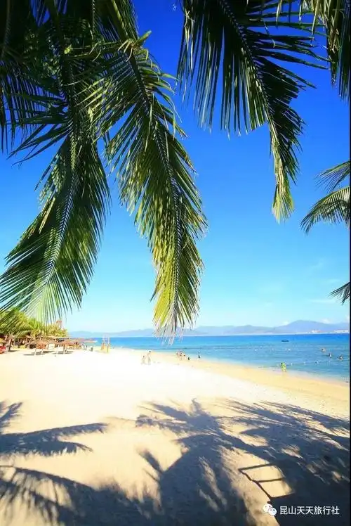 中国最美的海景三亚 在这里,你可以躺在沙滩上感受椰风海韵,享受着