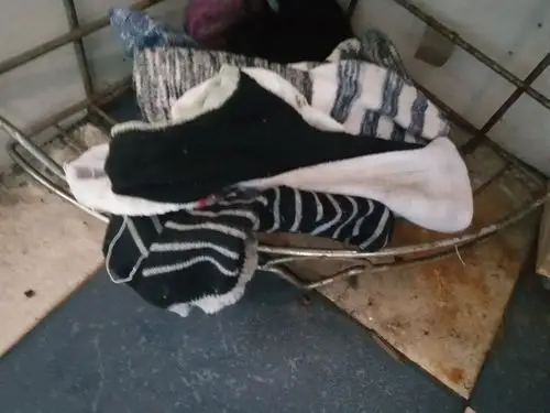 我丢失的袜子都去哪里了原来真相在这里