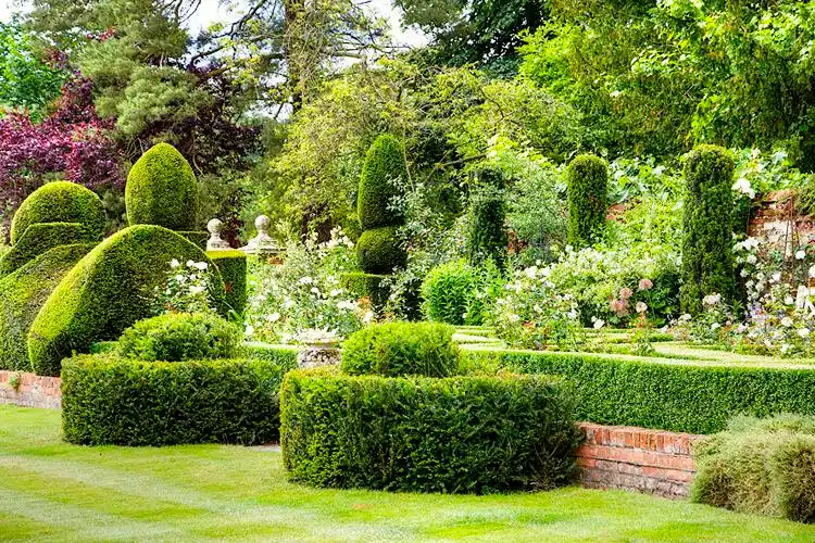 英格兰,公园,灌木,草地,heydon,大自然壁纸,照片,下载