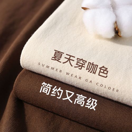 巧克力色 咖啡色重磅纯棉不透简约显白短袖男 复古休闲纯色t恤女
