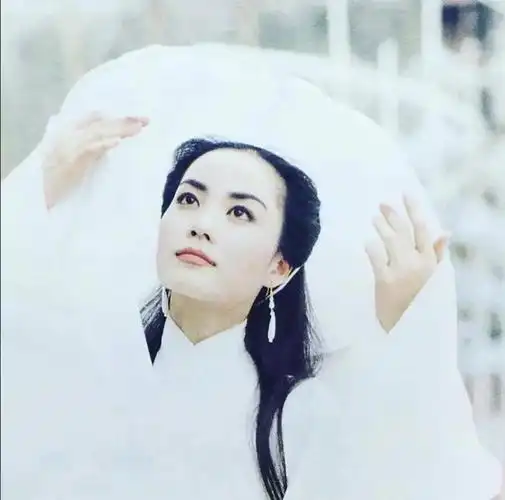 王菲既有影后提名也有电视剧收视率年冠这都不算影视歌三栖