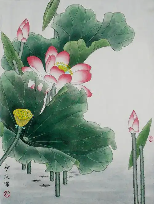 步凡工笔荷花