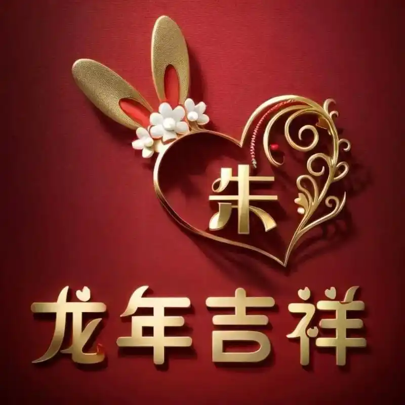 2024新年头像朱 - 抖音