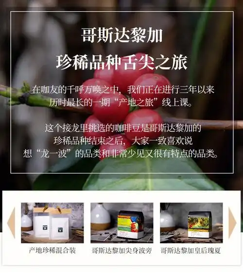 你没喝过的小众咖啡品种丨了解哥斯达黎