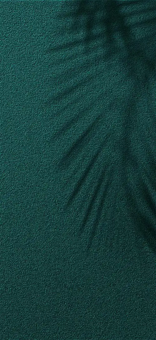 墨绿背景美极医美