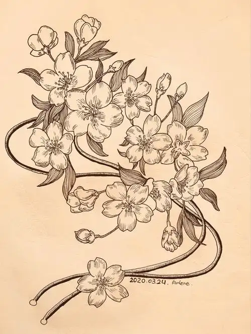 15/100 线描-樱花