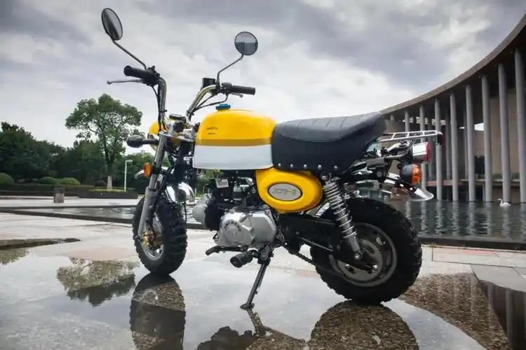 摩智测评:能引妹能翘头,6380元最迷你金城小金童jc70