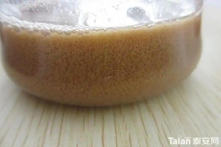 哪些食物不含蛋白质 牛奶中的蛋白质