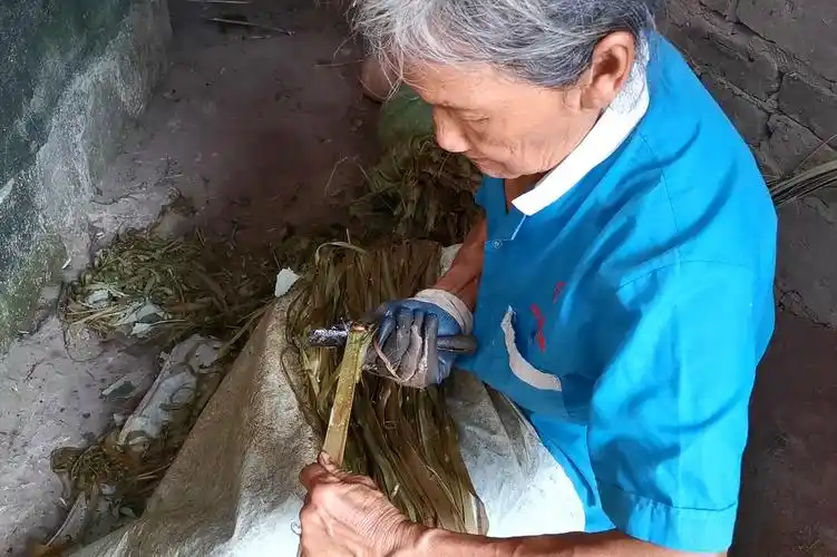 农村老奶奶挣钱不易,剥麻只为换钱补贴家用,一斤麻才卖9块钱