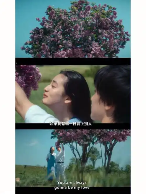 日剧初恋 #first  love男主佐藤健,之前看过他和永野芽郁的#一半