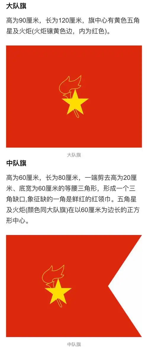 五角星加火炬和写有"中国少先队"的红色绶带组成中国少年先锋队队