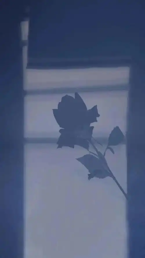 温柔系背景图朋友圈治愈系,优质温柔治愈系背景图(治愈蓝色系壁纸