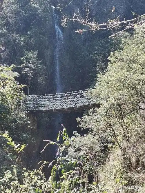 探秘金华武义牛头山国家森林公园,美景如画,令人流连忘返