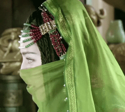 迪丽热巴风中奇缘图