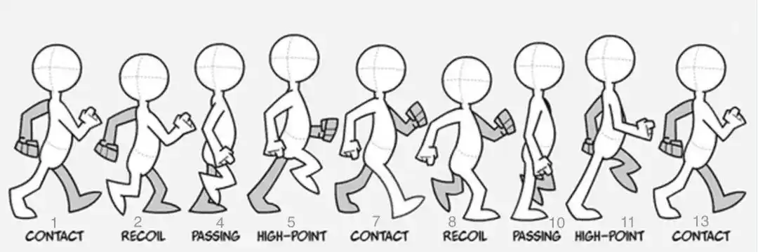 关键姿态和两个中间帧(4,11也被称为通过点)动画中的一个行走循环分为