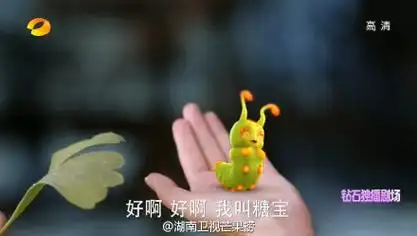 电视剧花千骨糖宝出世啦!花千骨糖宝萌萌哒图片