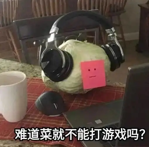 难道菜就不能打游戏吗?表情