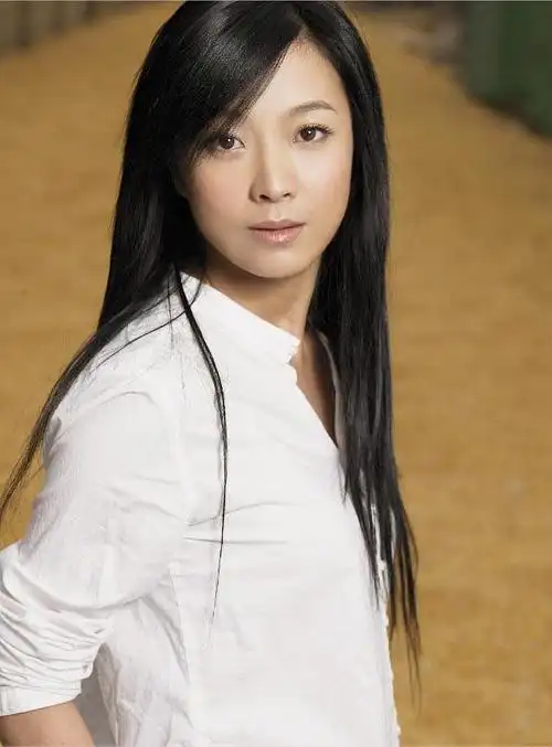 苏岩演过的电视剧有哪些(内地著名女演员苏岩简介)(13)